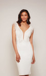Alyce Paris 70033 Luxe Jersey Plunging Neck Short Dress