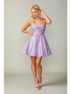 Dancing Queen 3386 Embroidered Bodice Sleeveless Short Dress