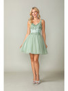Dancing Queen 3374 Embroidered Bodice V-Neck Short Dress