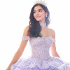 Princesa by Ariana Vara PR30181 Tulle Off-Shoulder Ball Gown