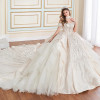 Princesa by Ariana Vara PR70102 Mesh Off-Shoulder Ball Gown