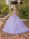 Dancing Queen 1898 Embroidered Appliques Tulle Ballgown