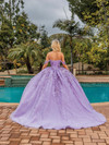 Dancing Queen 1862 Embroidered Off-Shoulder Glitter Ballgown