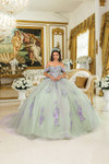 Dancing Queen 5023 Off-Shoulder Floral Quinceanera Dress