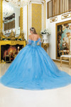 Dancing Queen 5038 Sheer Sleeves 3D Floral Quinceanera Dress