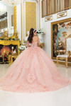 Dancing Queen 5027 Embroidered Strapless Quinceanera Dress