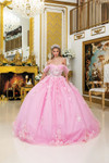 Dancing Queen 1998 Puffy Sleeves 3D Floral Quinceanera Dress