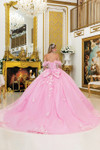 Dancing Queen 1998 Puffy Sleeves 3D Floral Quinceanera Dress
