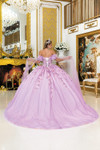 Dancing Queen 5036 Floral Embroidery Quinceanera Long Dress
