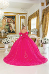 Dancing Queen 5006 Floral Embroidery Quinceanera Long Dress