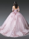 Dancing Queen 1924 Floral Embroidery Sheer Quinceanera Dress