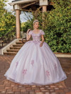 Dancing Queen 1893 Floral Embroidery Tulle Quinceanera Dress