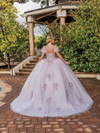 Dancing Queen 1893 Floral Embroidery Tulle Quinceanera Dress