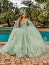 Dancing Queen 1857 Floral Embellishments Quinceanera Dress