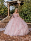 Dancing Queen 1840 Floral Appliques Beaded Quinceanera Dress