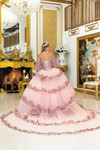 Dancing Queen 5019 Off-Shoulder Sleeves Quinceanera Dress