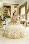 Dancing Queen 5019 Off-Shoulder Sleeves Quinceanera Dress