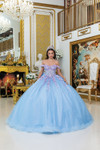 Dancing Queen 5016 Off-Shoulder Floral Quinceanera Dress