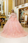 Dancing Queen 5020 Detachable Sheer Sleeve Quinceanera Dress