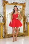 Dancing Queen 3411 Beaded Applique Sheer Corset Short Dress