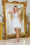 Dancing Queen 3414 Tulle Embroidered Lace V-Neck Short Dress