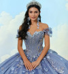 Princesa by Ariana Vara PR30202 Tulle Beading Long Ball Gown
