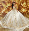 Princesa by Ariana Vara PR30210 Lace Glitter Tulle Ball Gown Princesa by Ariana Vara PR30210 Lace Glitter Tulle Ball Gown