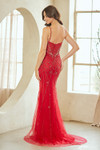 Amelia Couture 2135 Illusion V-Neck Sleeveless Long Dress