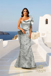Terani Couture 261E6678 Jacquard Ruffled One Shoulder Gown