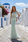 Terani Couture 261GL6756 Beaded Tulle Off Shoulder Long Gown