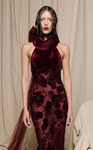 MNM Couture N0699 Velvet Mesh Embroidery Halter Neck Gown