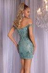Portia and Scarlett PS25738 Tulle Embroidery Short Dress