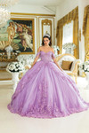 Dancing Queen 5031 Floral Off-Shoulder Quinceanera Dress