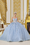 Dancing Queen 5073 Embroidered Floral Quinceanera Dress