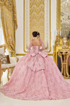 Dancing Queen 5077 Embroidered Floral Quinceanera Dress
