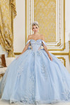 Dancing Queen 5094 Floral Off-Shoulder Quinceanera Dress