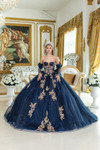 Dancing Queen 5051 Glitter Tulle Strapless Quinceanera Dress