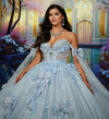 Princesa by Ariana Vara PR30225 Lace 3D Butterflies Gown