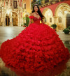 Princesa by Ariana Vara PR30232 Organza 3D Floral Ball Gown