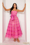 Terani Couture 241P2044 Organza Embroidered Strapless Dress