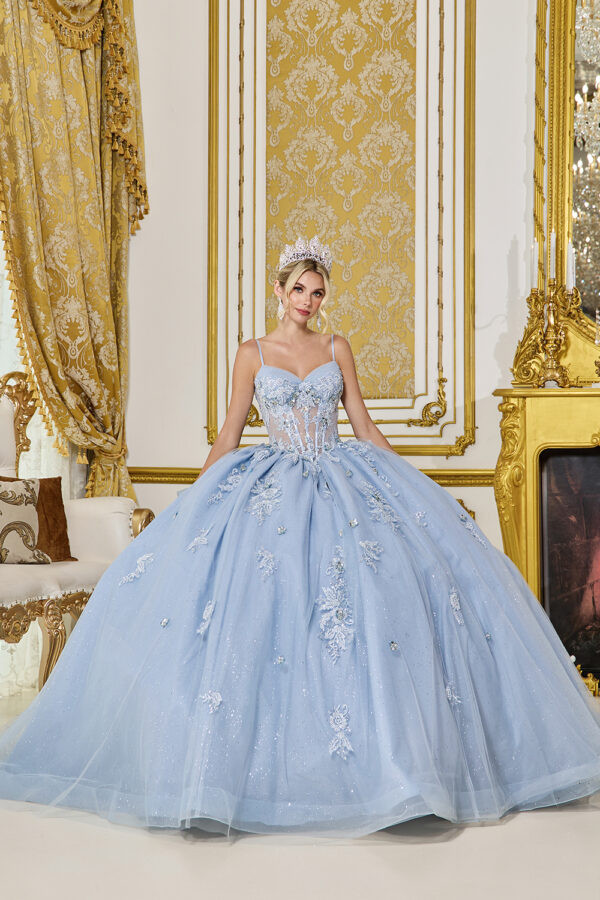 Dancing Queen 5073 Embroidered Floral Quinceanera Dress