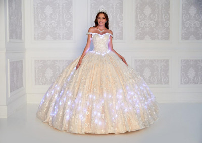 Princesa by Ariana Vara PR12266 Novelty Embroidery Lace Gown