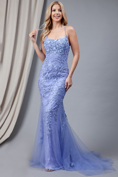 Amelia Couture 799 Mesh Embroidery Sleeveless Long Dress