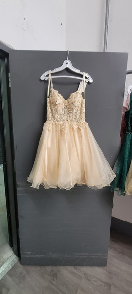 Dancing Queen 3341 Strap Sleeves V-neck Homecoming Dress