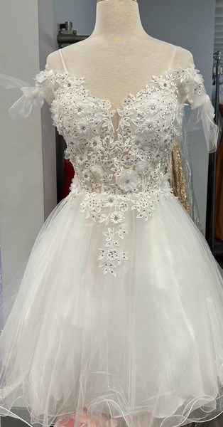 Dancing Queen 3339 Illusion V-neck Floral Applique Dress