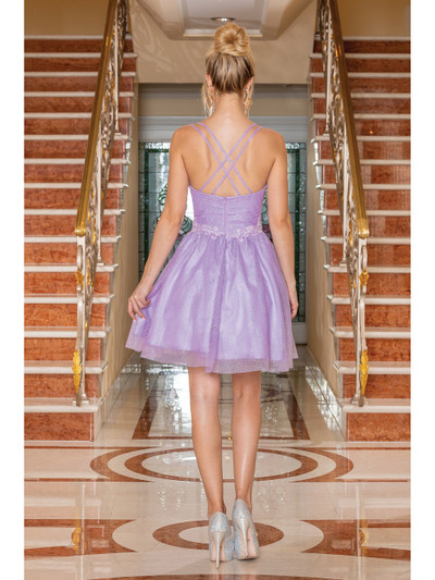 Dancing Queen 3289 V-Neck Sleeveless Homecoming Dress