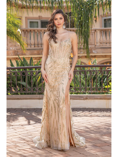 Dancing Queen 4334 Spaghetti Straps Scoop Neck Long Dress