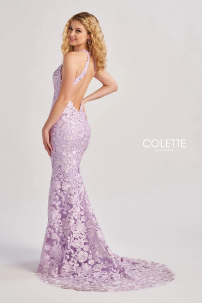 Colette by Daphne CL8665 Novelty Lace Stretch Lining Dress