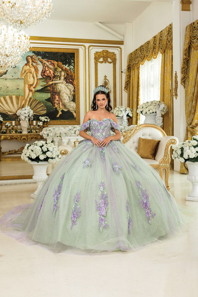 Dancing Queen 5023 Off-Shoulder Floral Quinceanera Dress