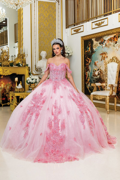 Dancing Queen 5029 Floral Embroidery Quinceanera Long Dress